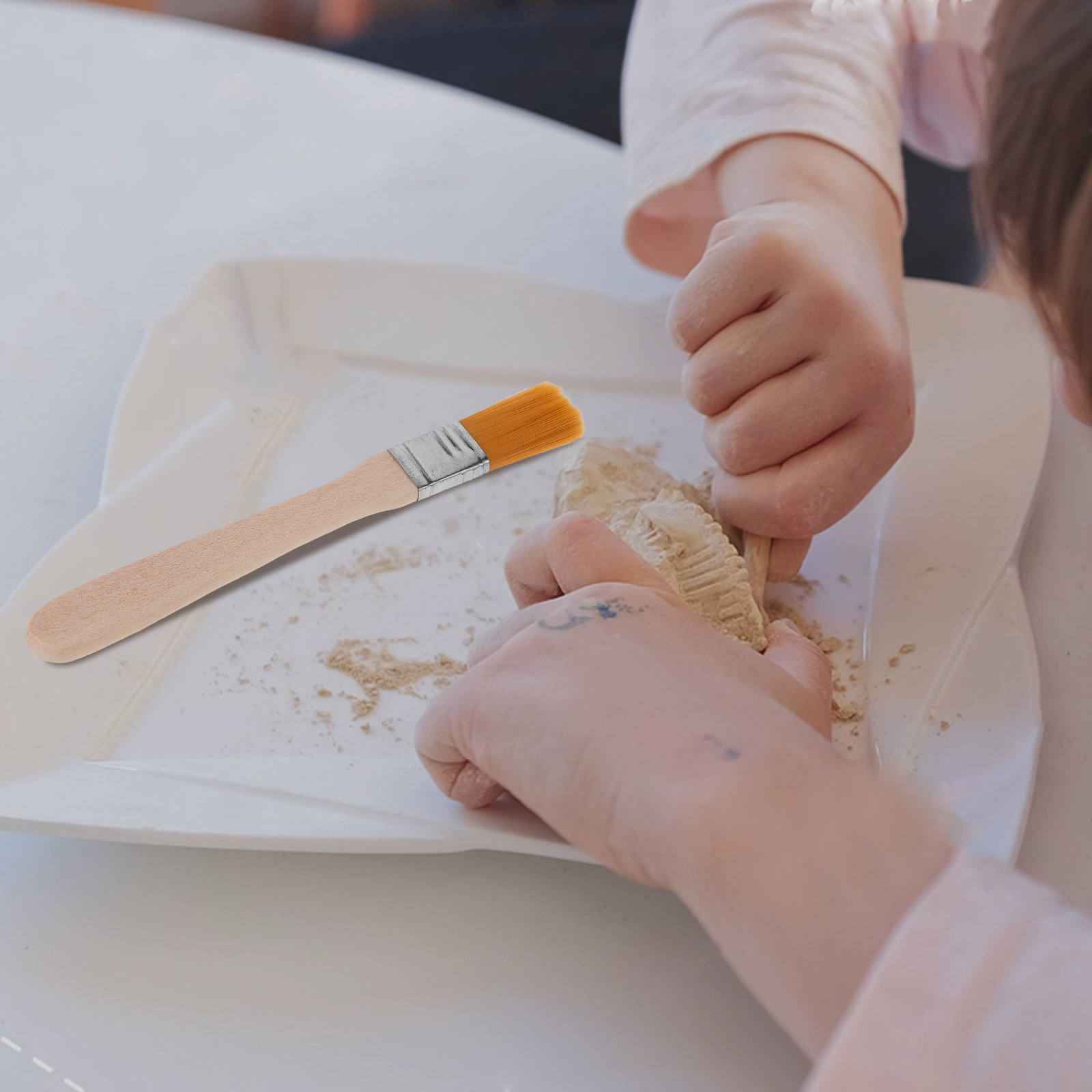 10-częściowy zestaw szczotek a – Science Toys recenzja i cena