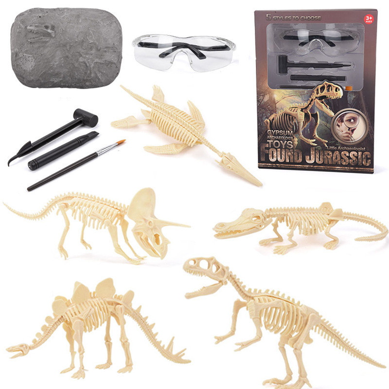 Zestaw do wykopalisk fosiliów  – Science Toys recenzja i cena